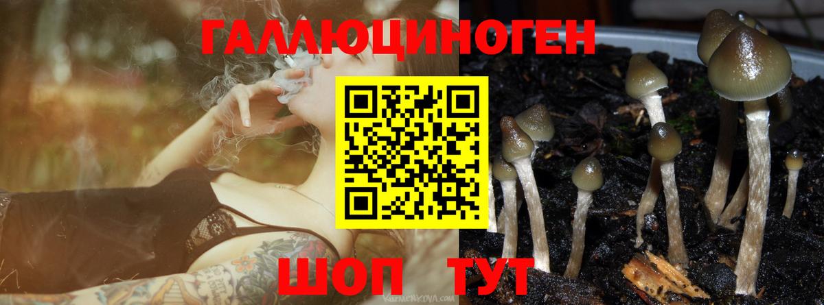 Славянск-на-Кубани  Псилоцибиновые грибы мухоморы  Псилоцибиновые грибы ЛСД  Вход с VPN 